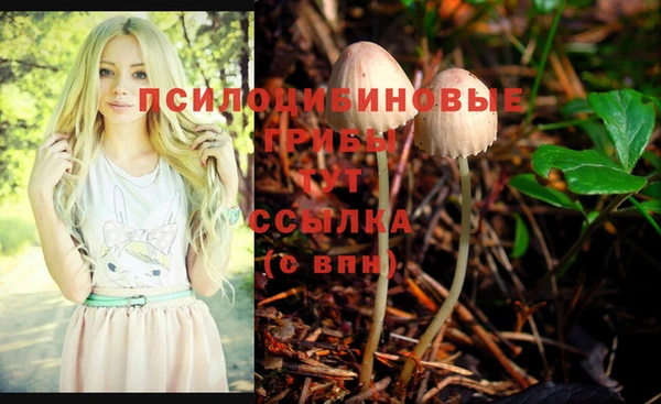 меф Армянск