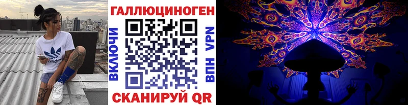 Купить где  Приволжский  Псилоцибиновые грибы Psilocybe 
